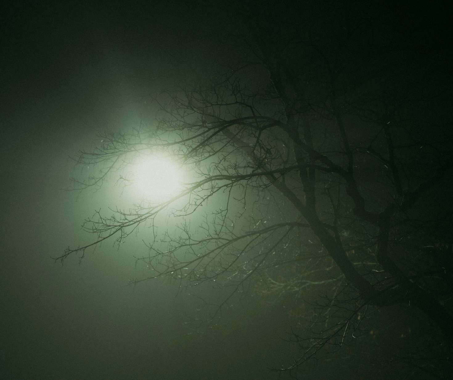 Rebuilding After Challenges: Stories of Resilience