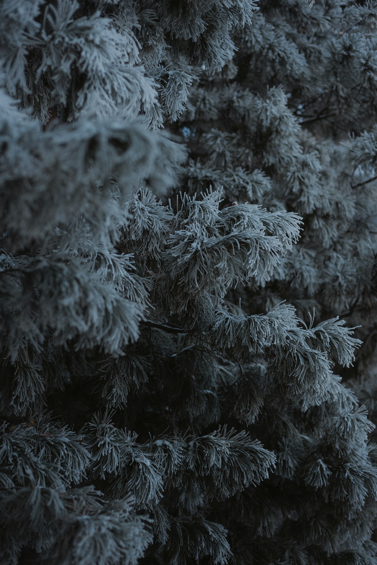 Connecting Through Shared Human Experiences