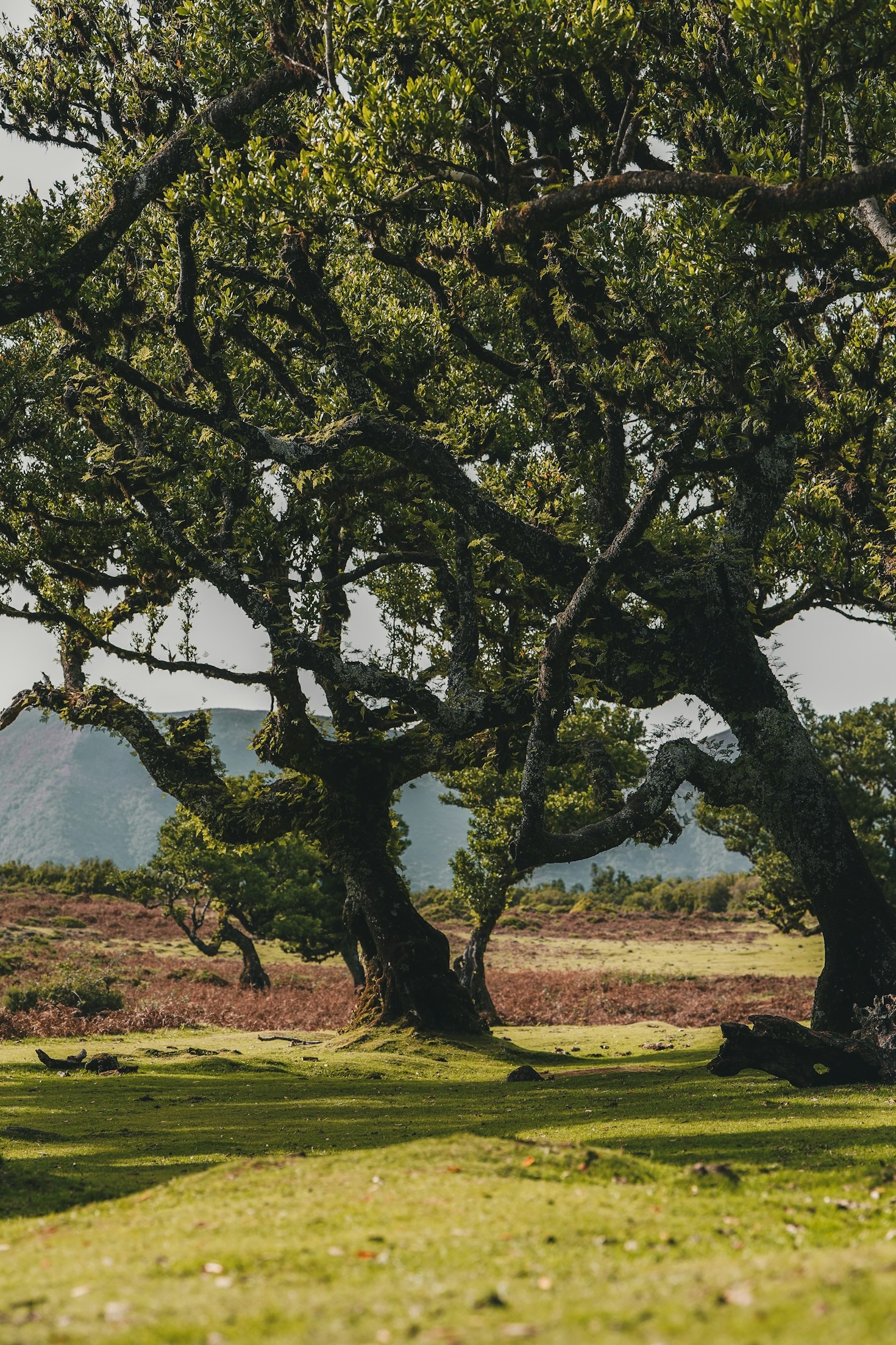 Wisdom and Insights from Life’s Journey